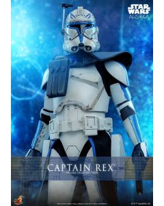 Sideshow Star Wars Hot Toys Boxed 12" Captain Rex (TMS119)