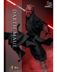 Sideshow Star Wars Hot Toys Boxed 12" Darth Maul (Episode I) MMS748