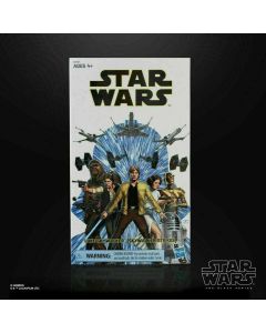 Star Wars The Black Series Convention Exclusive Luke Skywalker (Skywalker Strikes) 6" Action Figure