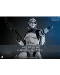Sideshow Star Wars Hot Toys Boxed 12" 104th Battalion Wolfpack Clone Trooper Collector Edition (TMS142)