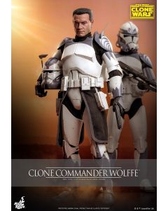 Sideshow Star Wars Hot Toys 12" Boxed Clone Commander Wolffe (TMS141)