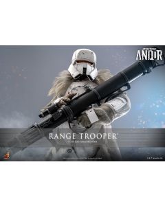 Sideshow Star Wars Hot Toys 12" Boxed Range Trooper TMS157